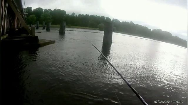 Летняя рыбалка Санкт-Петербург река Нева окунек ? смотреть онлайн