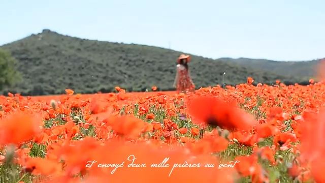 Petite vue du shooting avec Margaux en ce jour. смотреть онлайн
