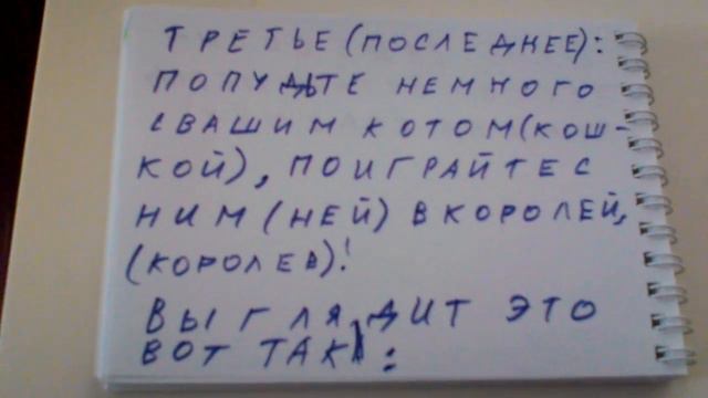 Приручаем кошку смотреть онлайн