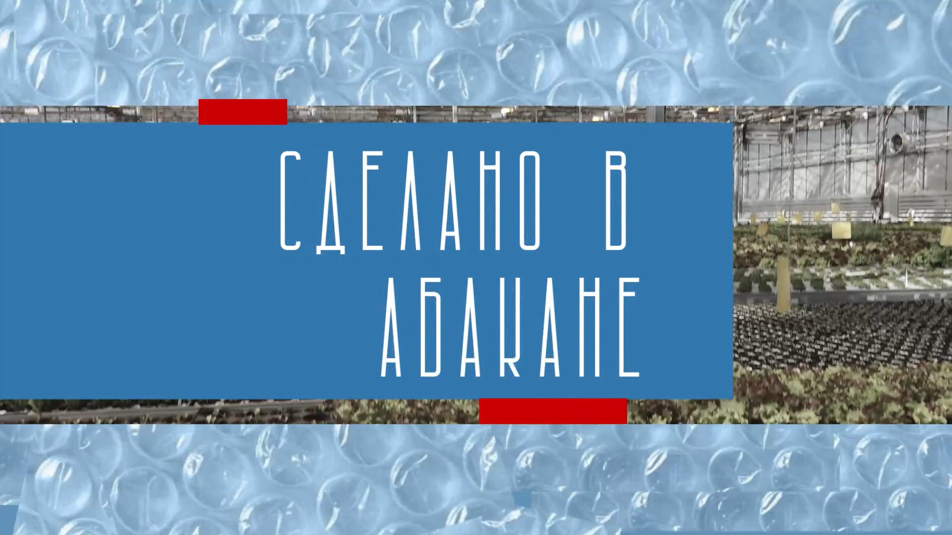 Сделано в Абакане// 