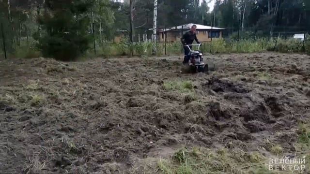 Строительный Анализ