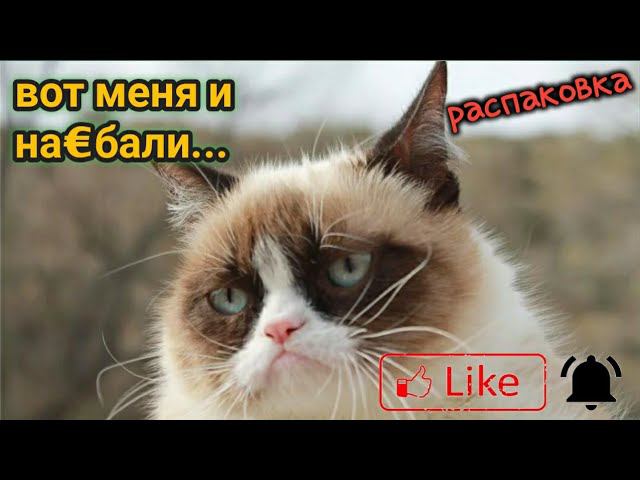 распаковка посылки с телефоном pantech GF100, haier M500, voxtel V350, электроника 1-07 смотреть онлайн