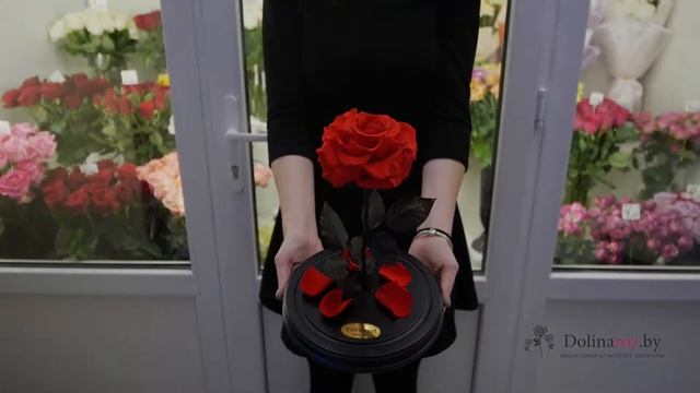 Как выглядит красная роза в колбе - купить в Минске с доставкой смотреть онлайн