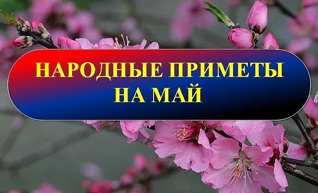 Народные приметы на май месяц .mp4 смотреть онлайн