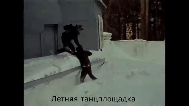 Окончание курсов бензопильщиков смотреть онлайн
