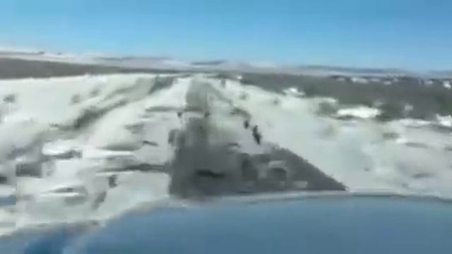 Охота на зайцев смотреть онлайн