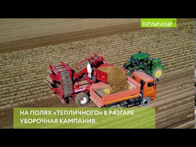 "Тепличный" собирает урожай картофеля смотреть онлайн