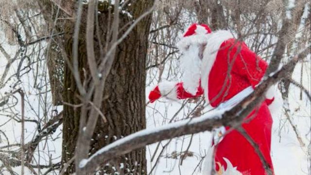 мой первый клип по песни гдеж ты мой дед смотреть онлайн