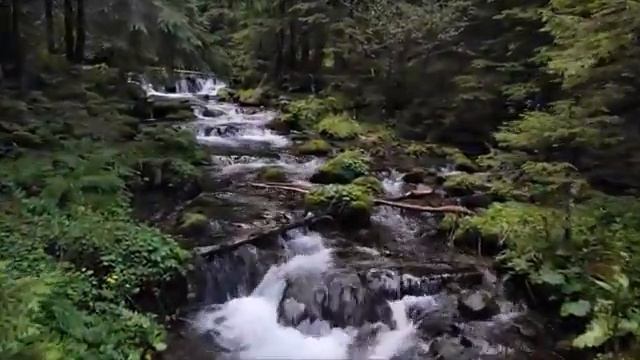 Ютуб музыка релакс - Youtube музыка для успокоения нервов и сна смотреть онлайн