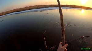 Рыбалка на паук подъёмник. Ловим большущих щук и карасей. Последний Лёд тронулся.