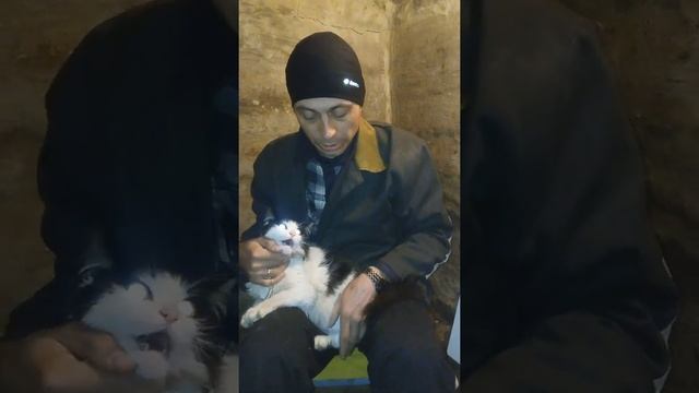 Лисичанск. Ночь с 16го на 17е апреля. Кот поранил лапу о битое стекло. смотреть онлайн