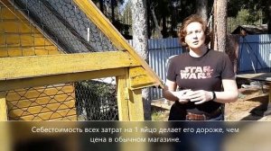 Кур выгодно держать на даче. Вы в это верите? Бизнес на яйцах. Окупятся ли куры? Рентабельность кур