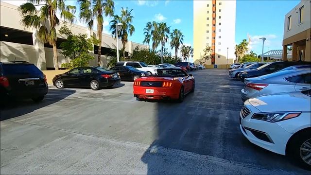 Tudo para 2 | Alugamos um MUSTANG em Miami FL - ALAMO rent a car смотреть онлайн