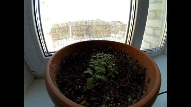 Timelapse смотреть онлайн