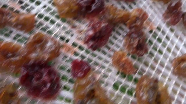 СЛАДКИЙ АВГУСТ: ГОТОВИМ РАЗНЫЕ ЦУКАТЫ смотреть онлайн