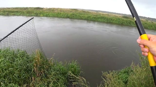 Ловля голавля на реке! Полудонка спасает! смотреть онлайн