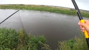 Ловля голавля на реке! Полудонка спасает!