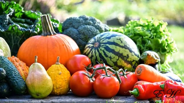 Начало осени смотреть онлайн