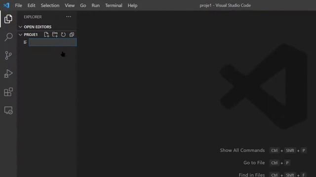 Python İlk Kodun Çalıştırılması - VS Code Editörü смотреть онлайн