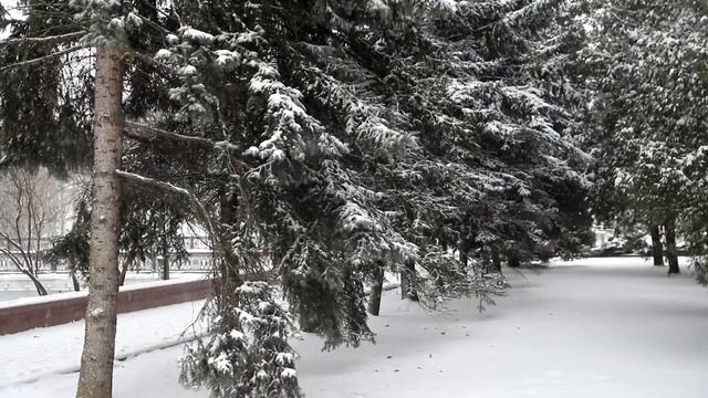 Первый снег 2017 года в Витебске