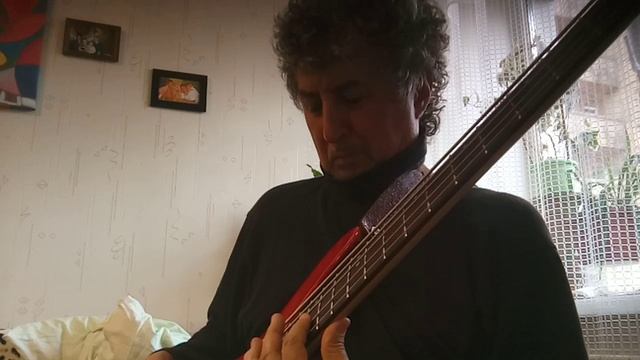 How Insensitive. (A.-C. Jobim), solo bass, O.Petrikov смотреть онлайн