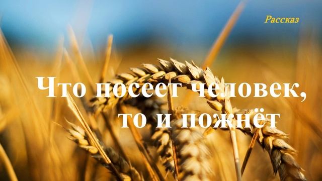 Что посеет человек, то и пожнёт.. (история-рассказ)