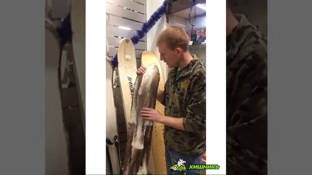 выбор охотничьих лыж смотреть онлайн