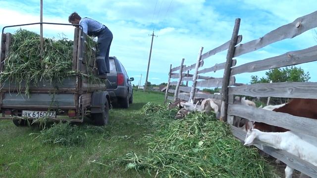 Убираем с Дариной хлам на участке. Работаем без выходных. смотреть онлайн