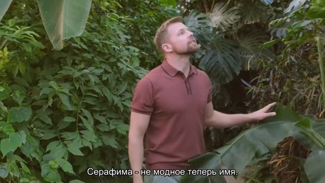 Значение имени Серафима. Толкование, судьба, характер смотреть онлайн