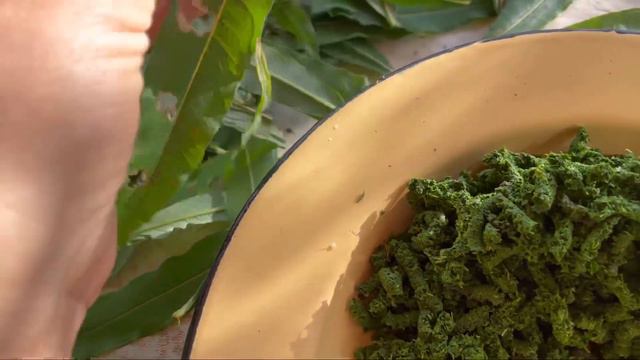 Собираю и делаю поздний иван-чай. смотреть онлайн