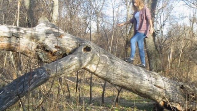 Марина Цветаева «Уж сколько их упало в эту бездну...» смотреть онлайн