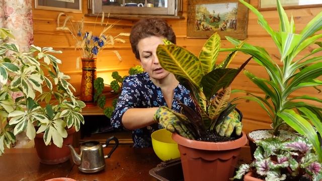 Красивые цветы круглый год - это просто! смотреть онлайн