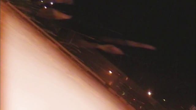 Volvo 240 Special Edition Trailer смотреть онлайн