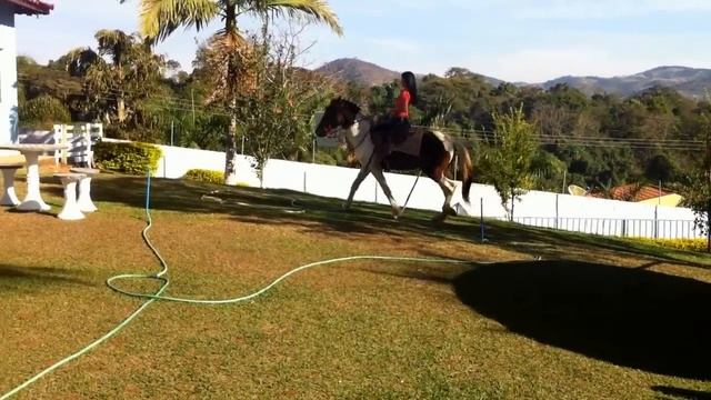 Nathi andando de cavalo смотреть онлайн
