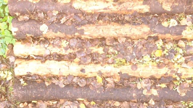 Родник Св. Луки Крм. смотреть онлайн