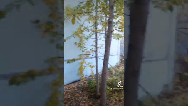 Пробурили скважину в Агидели 27м??? смотреть онлайн