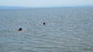 Озеро Зайсан, 2017 год