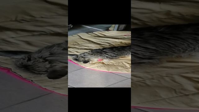 Без названия