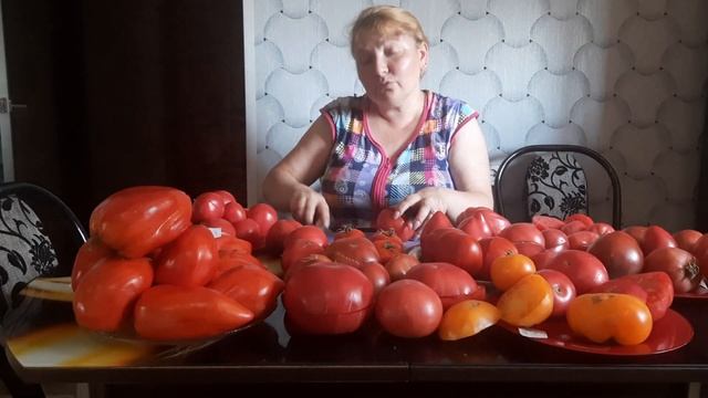 сорта томатов в разрезе часть 2 смотреть онлайн