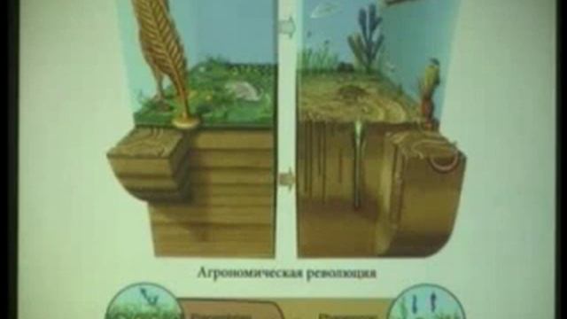 Запретные плоды Эдиакарского сада смотреть онлайн