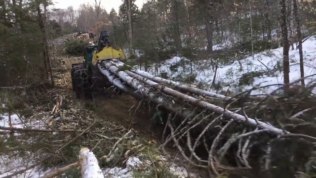 Tree Length Operations смотреть онлайн