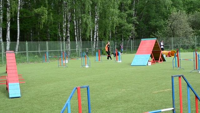 Start L Архипова Елена и бордер-колли Спот смотреть онлайн