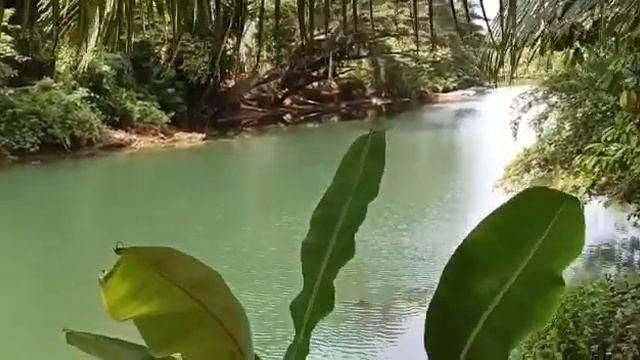 Бохоль, Филиппины смотреть онлайн