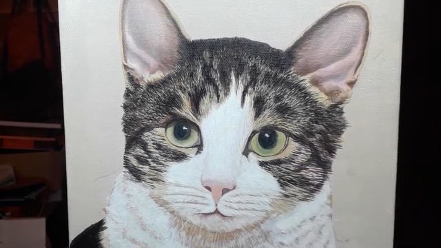 Painting a tabby and white cat in OIL смотреть онлайн