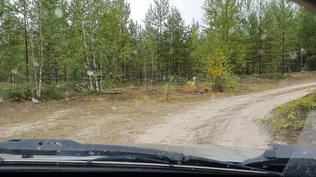 31 08 2019 шнива смотреть онлайн