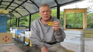 Подсадка матки Не 100% но 99% гарантия