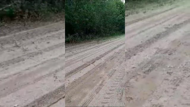 Нагонка рг Кира ВПКОС 6524/22, владелец Ляпин В.А., Архангельская обл. на связи!!! смотреть онлайн