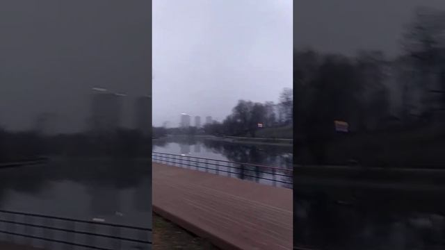 Ноябрь 2019. Черкизовский пруд(3) смотреть онлайн