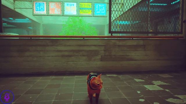 СТРИМ ПО ПРОХОЖДЕНИЮ ИГРЫ БЕЗ МИКРО | Stray смотреть онлайн