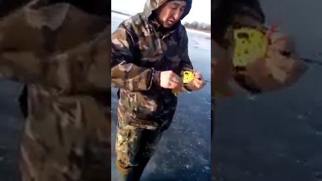 Зимняя рыбалка в Астрахани на окуня. смотреть онлайн